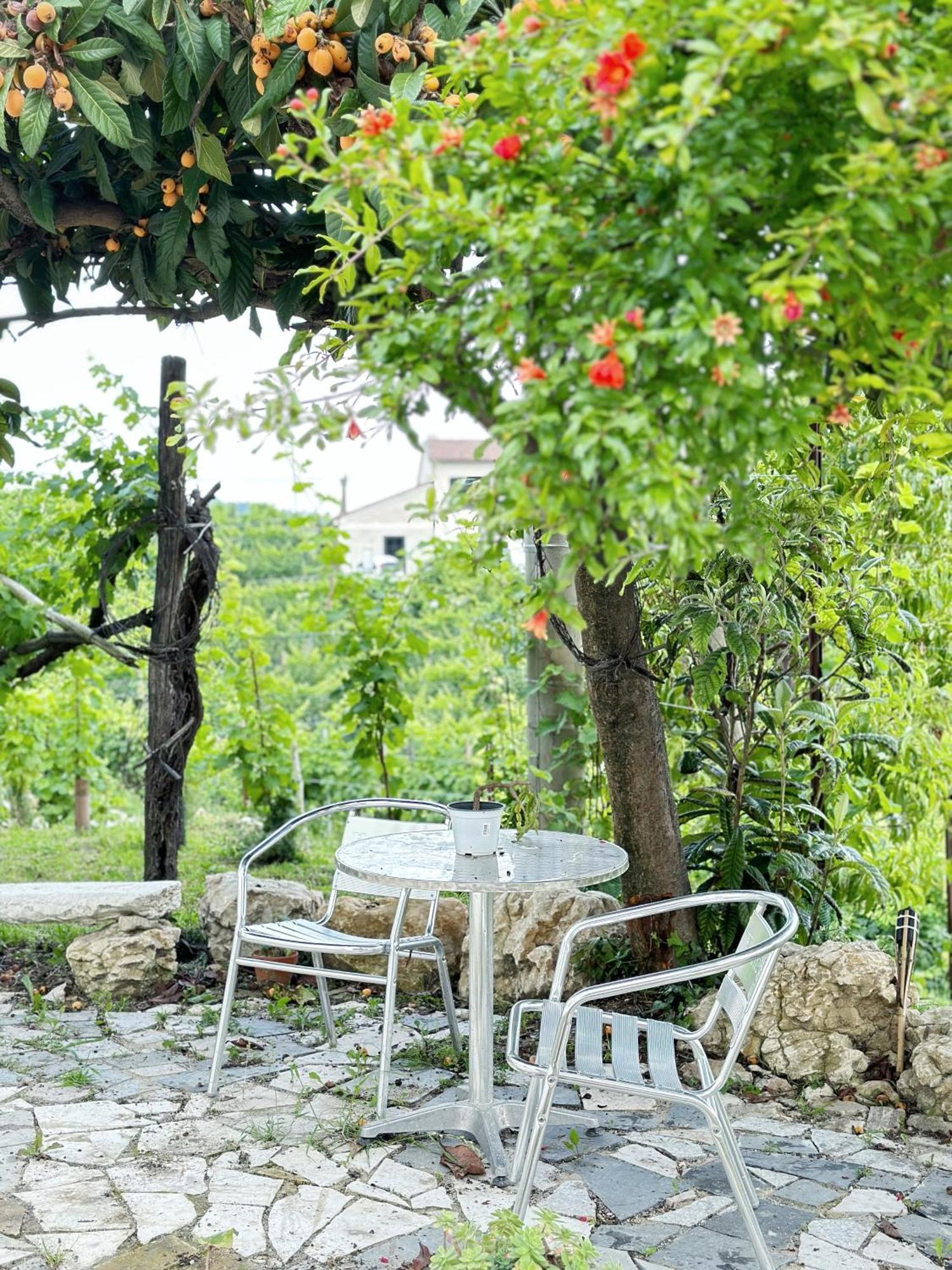 Parisi -