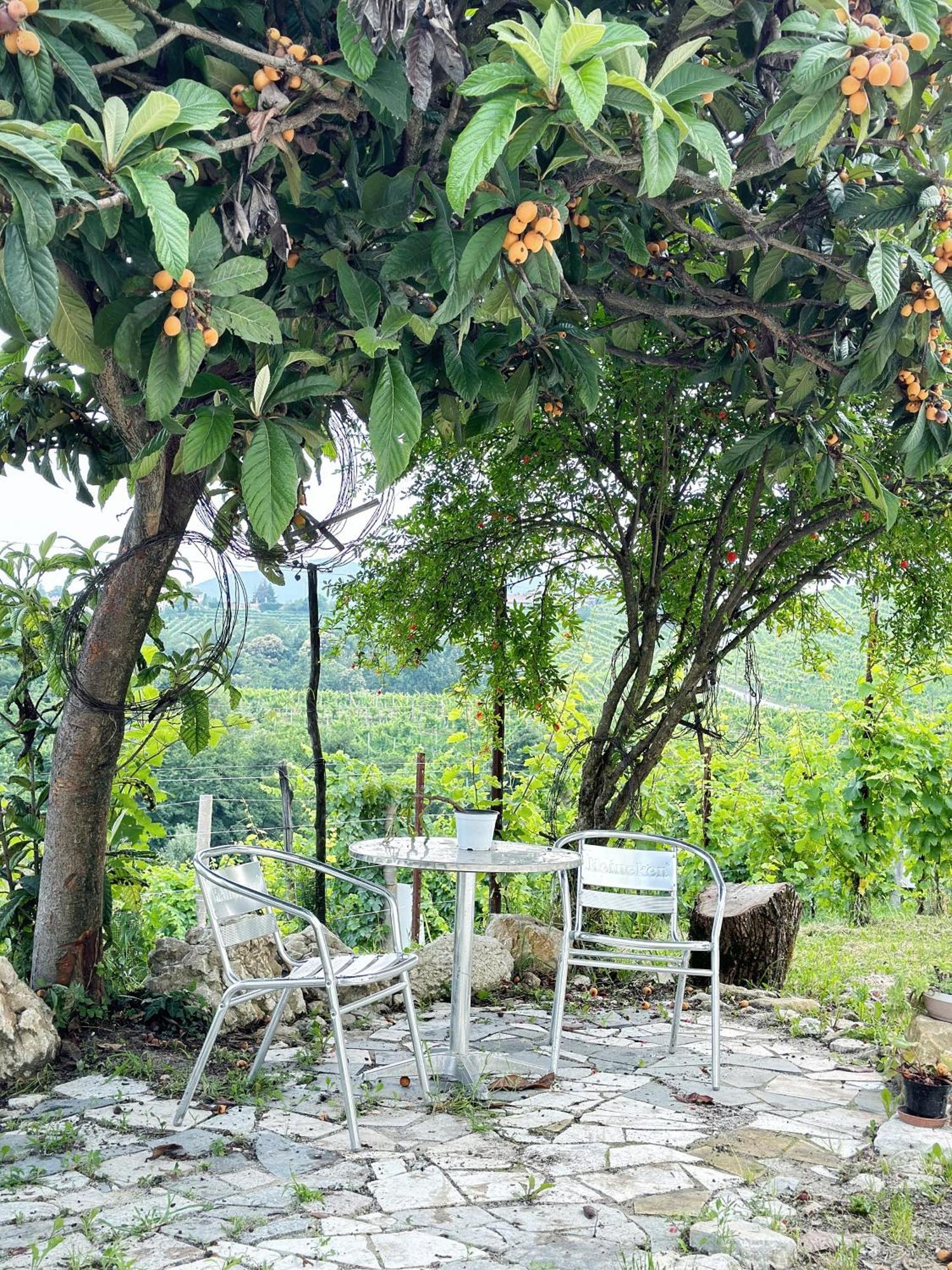 Apartment Parisi - Valdobbiadene